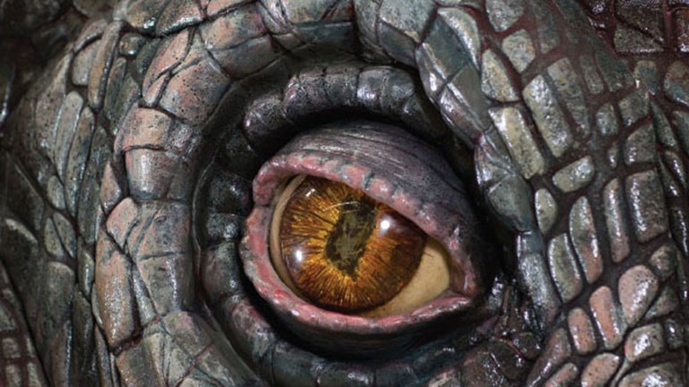 Detail of a dinosaur eye