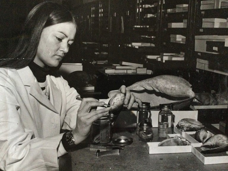 A black and white photo of a young woman in a white coat, sitting at a desk holding a large seashell over a glass jar 