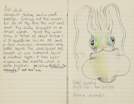 a lined page of a diary from February 1985 showing a brightly coloured image of a squid