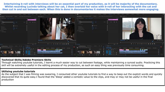 A folio page describing the process of cutting between b-roll footage and interview footage, with screenshots provided and technical skills explained.