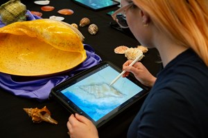 A woman focusing carefully on drawing the details of a shell using digital drawing tools