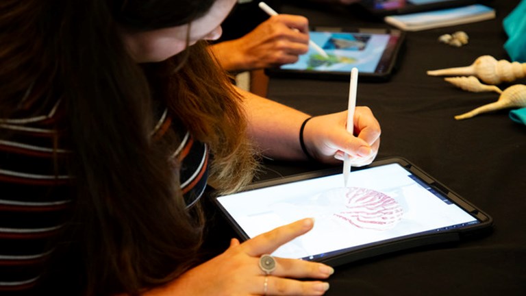 A woman using an iPad and drawing the details of a shell