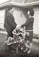 Man and woman holding hands over small shrub.