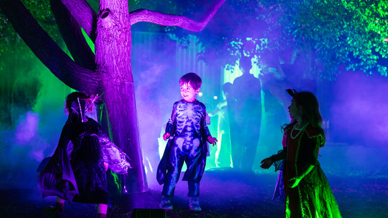 Halloween at the Museum: Early Entry for Families