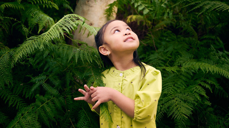  A young child standing among lush green ferns looks upwards with curiosity in a forest setting.