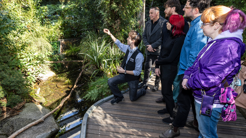 Museums Victoria Tours