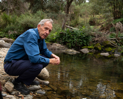 Bob brown crouching beside a river.