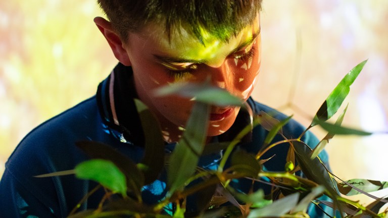 A primary school student holding a branch with leaves with Learning Lab projection lights over him