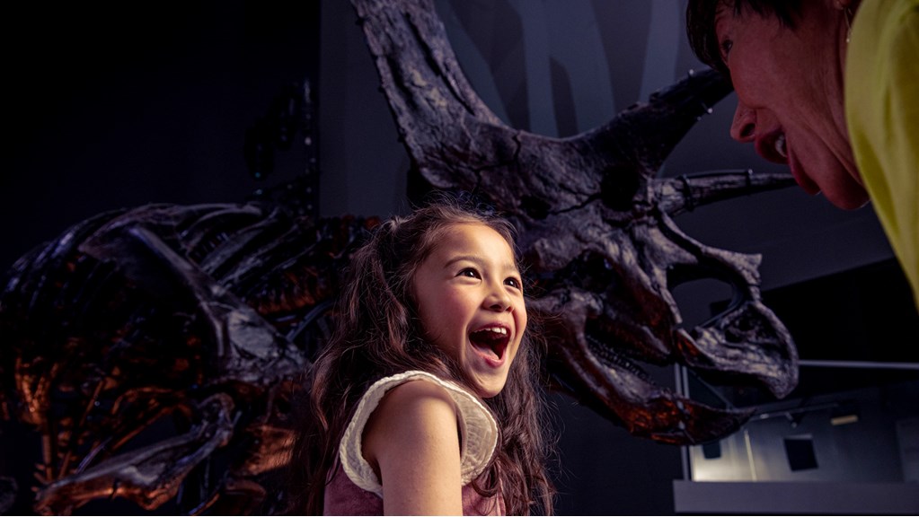 An excited child standing in front of the Triceratops skeleton