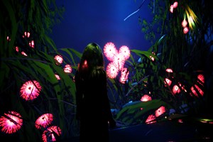 Person from behind immersed in digital projections of foliage and flowers