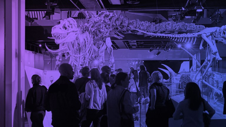 Group of people gather around a dinosaur exhibit