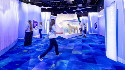 Students observe exhibits and interactives showcasing the rich diversity of environments across planet Earth.