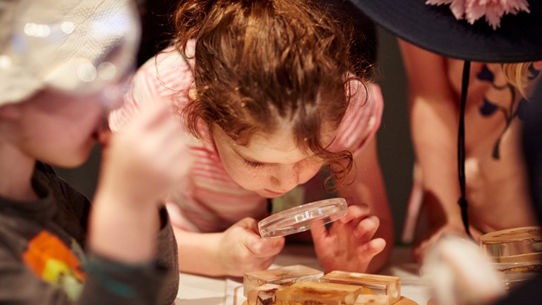 Children using magnifying glasses to look at insect specimens in resin blocks.