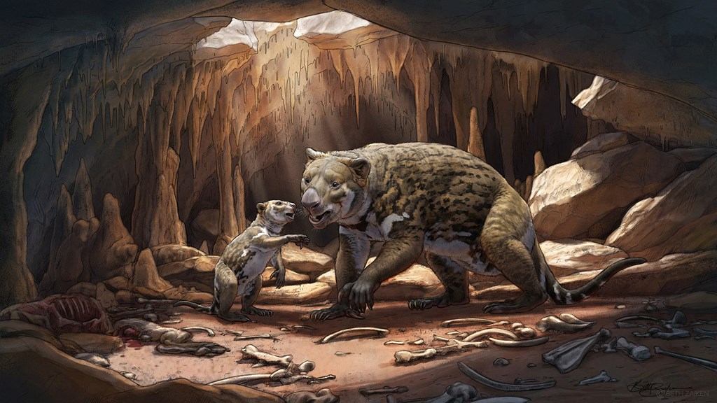 A Thylacoleo mother and cub in a cave.