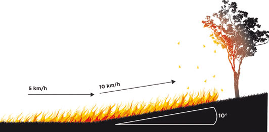 Image showing direction of fire at 5k and 10k