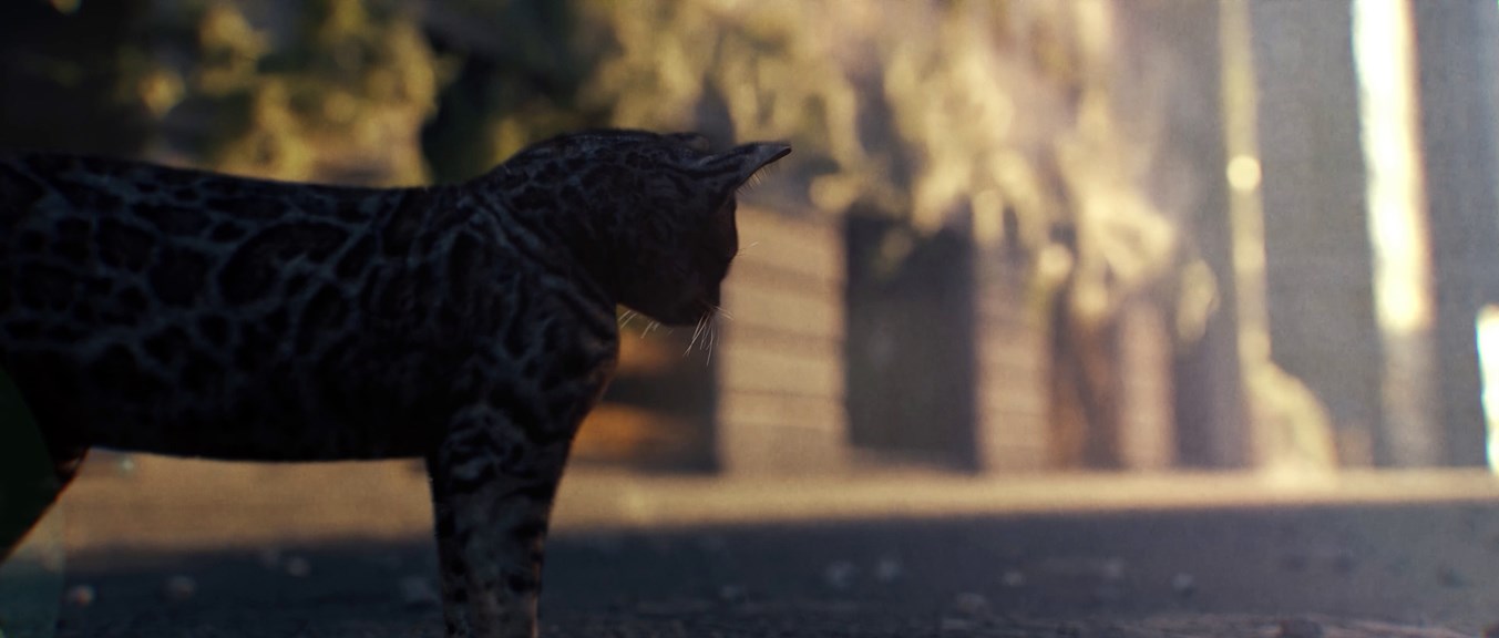 A wide-angled render of a cat with leopard like spots on a residential street.