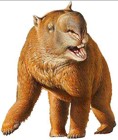 Illustration of Diprotodon optatum (a rhinoceros-sized quadruped) taken from Australia Post's Megafauna stamp issue