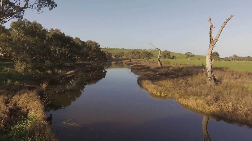 A creek runs through a rural landscape, with dense foliage on sloped ground on the left and flat grazing land on the right