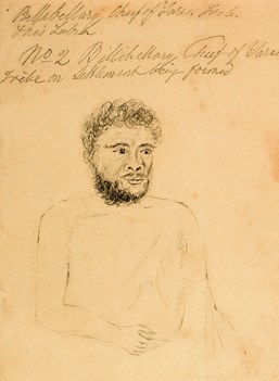 Sketch of the head and torso of a bearded man named as Billibellary, Chief of Yarra Tribe