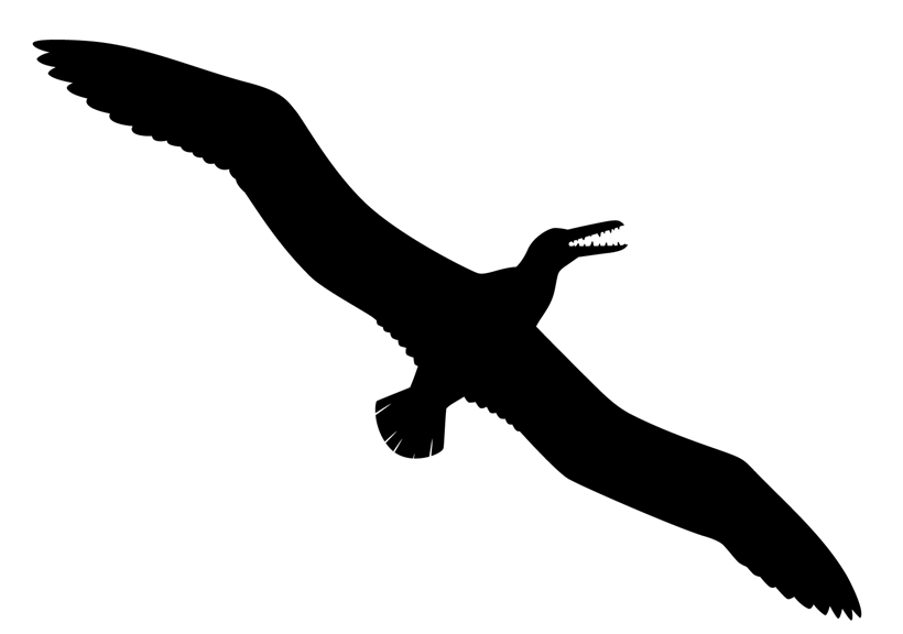 Silhouette of a massive bird-like creature with feathered wings spread wide, and a long bill filled with spiny teeth.   