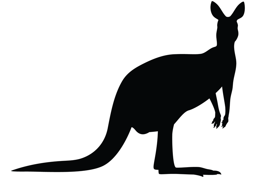 Silhouette of a kangaroo standing on its hind legs with its head facing the viewer. 