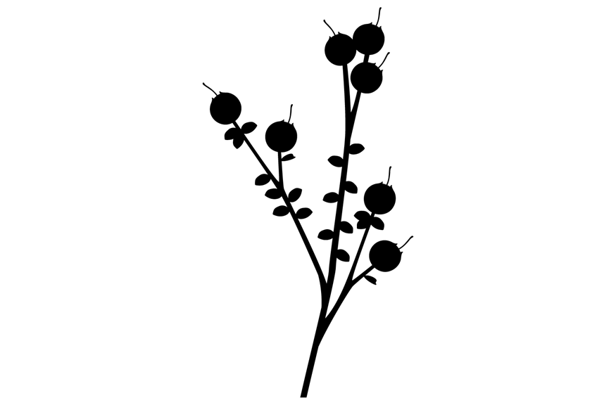 Silhouette of plant with oval shaped leaves and round fruits at the end of each stem.