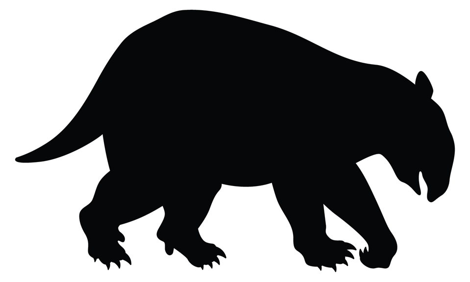 Silhouette of a big bear-like animal with a wobbly-looking nose and stumpy tail walking on all fours.   