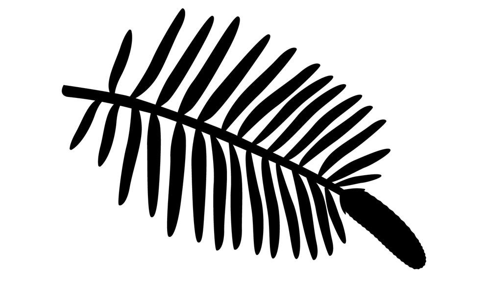 Silhouette of a tree branch with twenty-eight small, narrow leaves on either side in a featherlike arrangement, ending in a long cylindrical pinecone.   