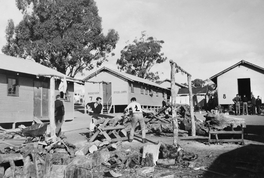 German internees K. Riggers and G. Ahrends cutting timber at Tatura Internment Camp for use in kitchen and room heaters, 1945.