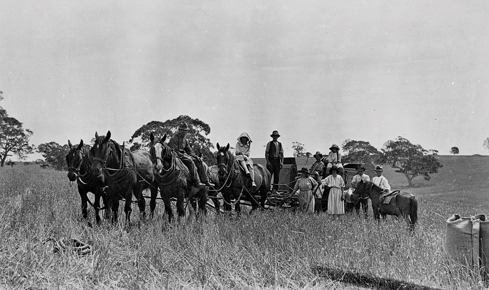 McLaughlin family with horse-drawn harvester on traditional Eastern Maar-Gunditjmara land granted through Closer Settlement scheme, Wando Vale, Western Victoria, 1928.