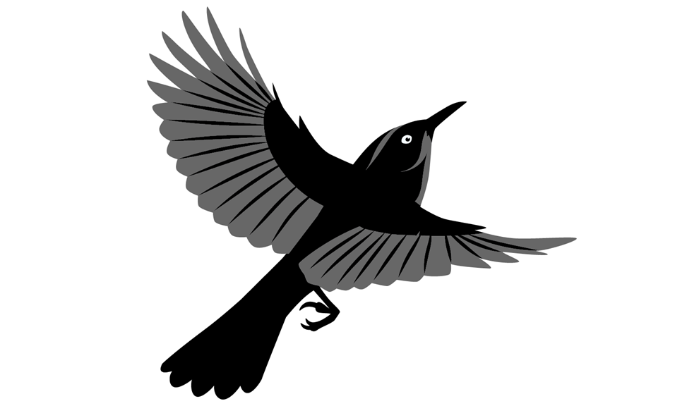 Illustration of a bird with a long, narrow beak in mid-flight.  