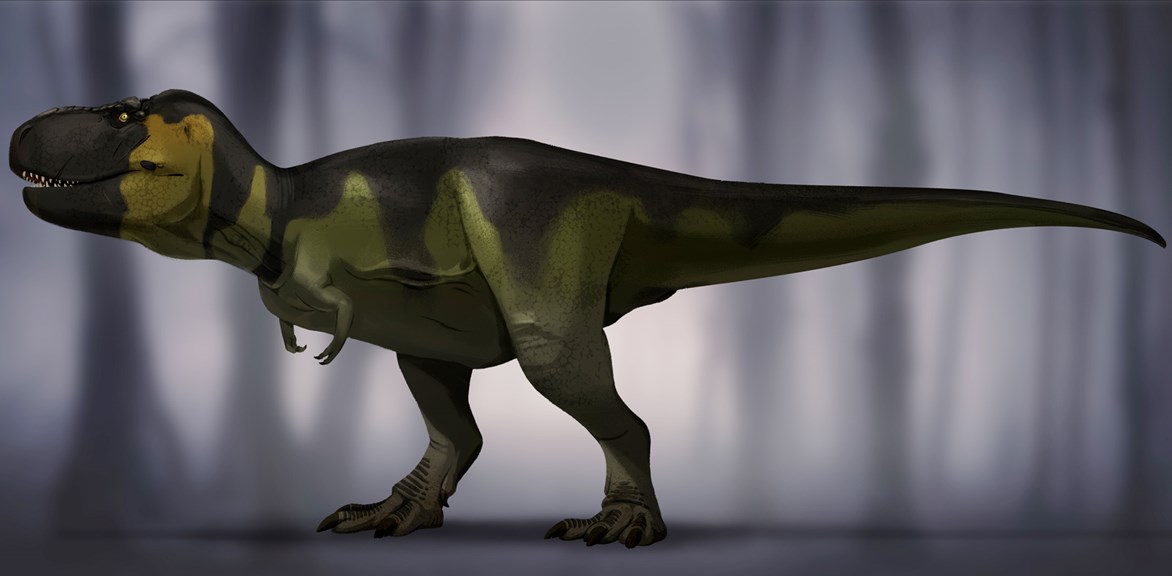 Image of a <em>Tyrannosaurus rex</em>