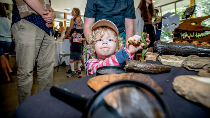 A child takes a closer look at the Dino Touch Table.
