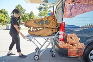 A staff member loads a Tarbosaurus skull into the Outreach Van.