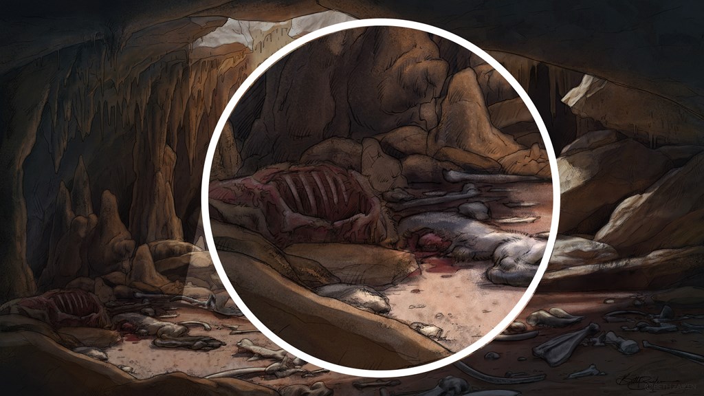 The same cave again, with the animal remains on the floor highlighted.