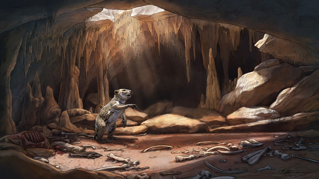 The same cave with a Joey Thylacoleo revealed.