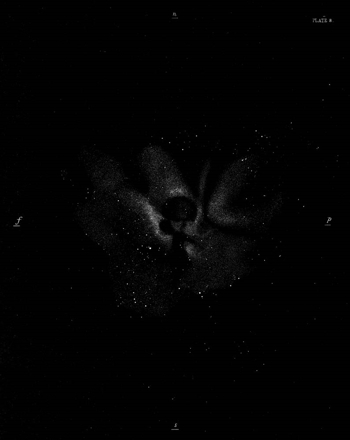 Black and white lithographic print on paper depicting a nebula against an opaque black background. The lithographic plate registration is set to the bottom right of the paper, and there are visible rubbing marks around the border of the printed area.