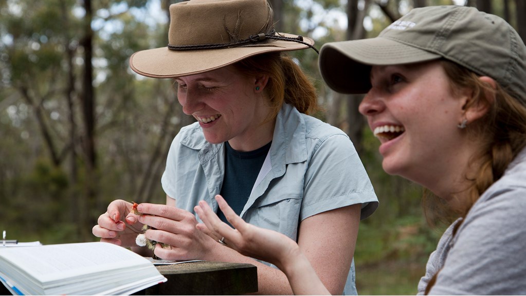 Museums Victoria staff member, Karen Rowe and volunteer, Bentley  Bird, processing bird specimens at field site.