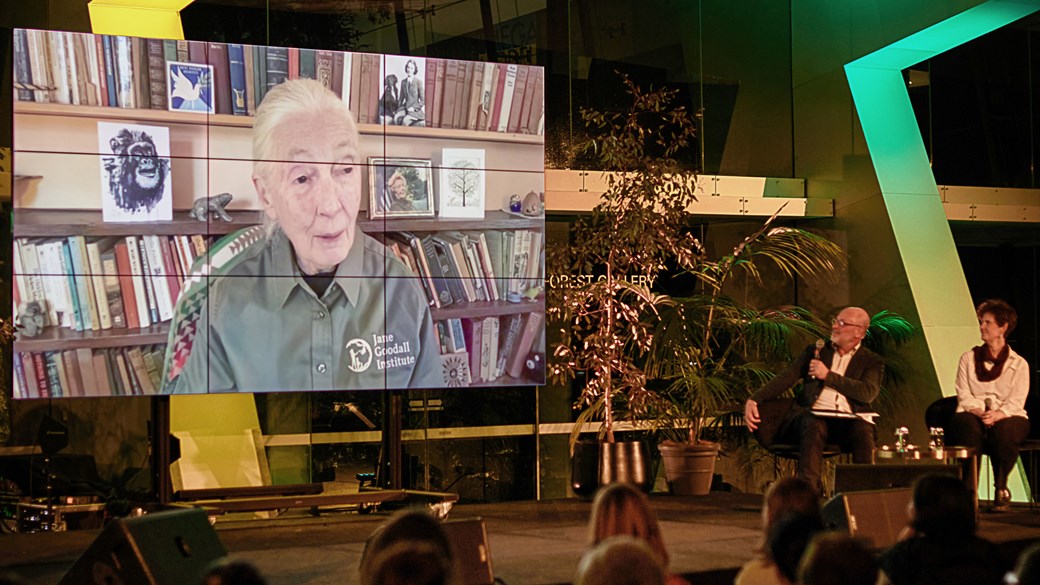 Future Forums Dr Jane Goodall In Conversation public program event, Melbourne Museum.