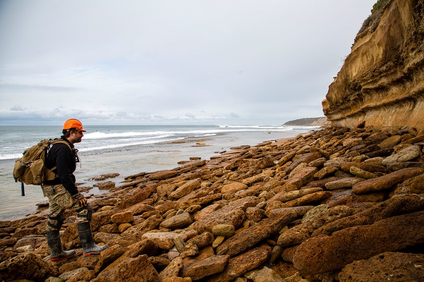 Museums Victoria staff member Erich Fitzgerald searches for fossils in Otways Bioscan.