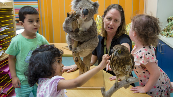 Alex Price, showing kindergarten children a koala and owl specimen during the 'Australian Animals' outreach program.