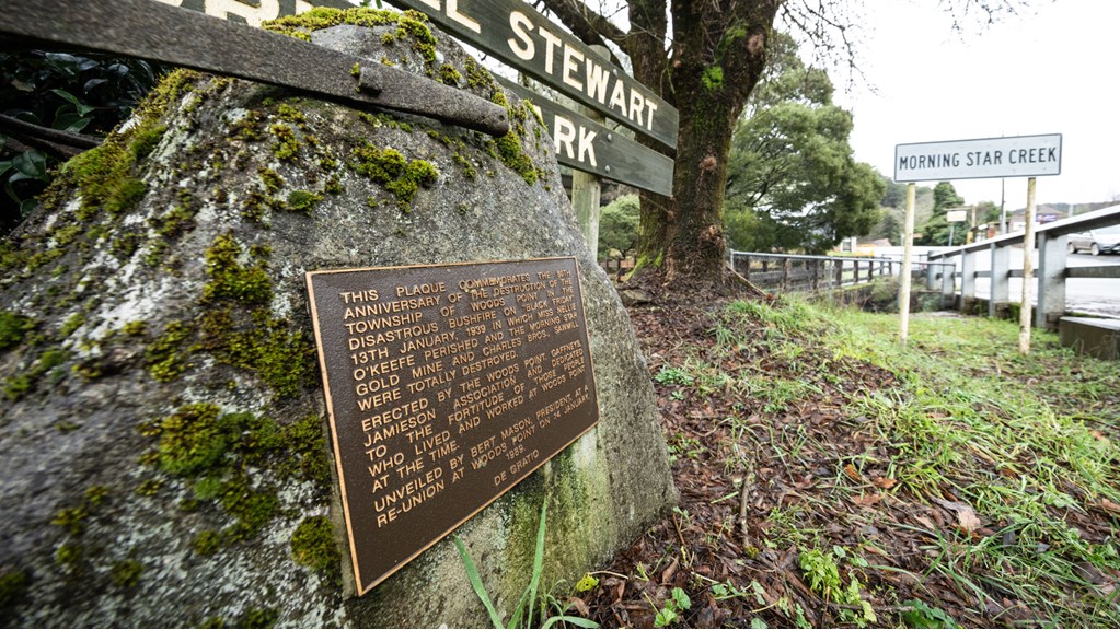 A plaque on a rock by a road, grass and moss grow nearby.
