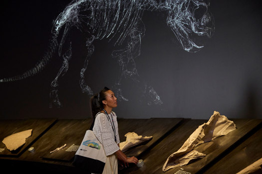 A woman using interactive displays in the triceratops exhibition at Melbourne Museum
