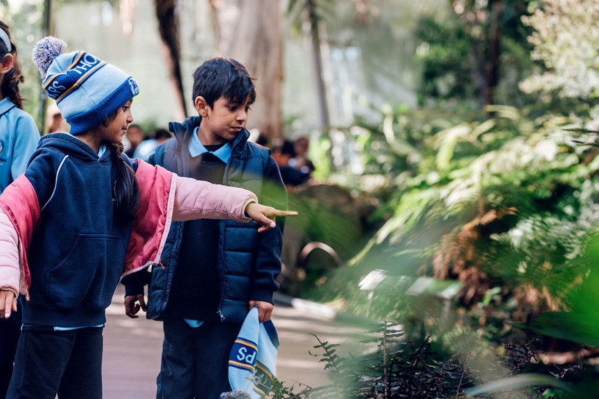 Two students in the Forest Gallery, one is pointing at something hidden and exciting, perhaps a lizard?