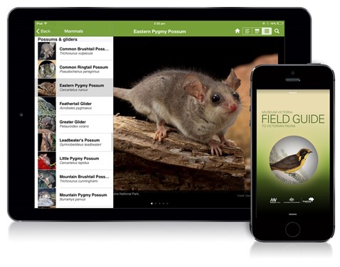 Field Guide to Victorian Fauna app shown on an iPad and iPhone
