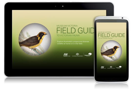 Field Guide to Victorian Fauna app on Android devices
