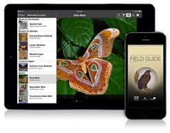 An iPad and iPhone showing the Field Guide to NT Fauna app on screen