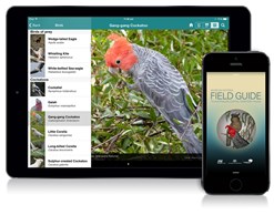 An iPhone and iPad showing the Field Guide to ACT Fauna app on screen