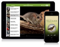 An iPad and iPhone showing the Field Guide to Victorian Fauna on screen