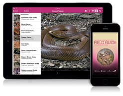 An iPad and iPhone showing the Field Guide to Queensland Fauna app on screen